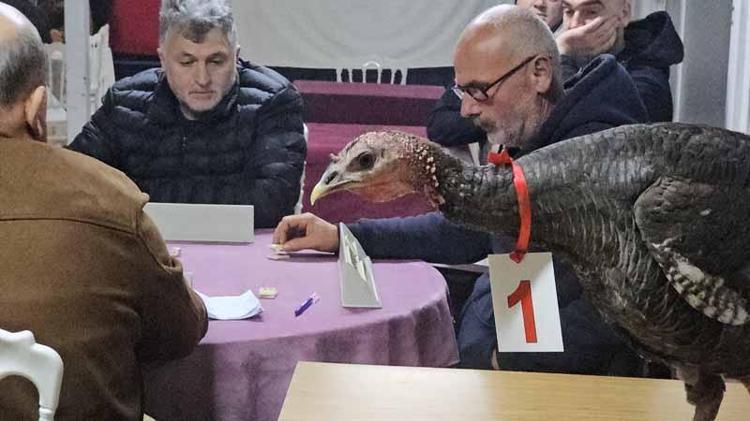 KAYBEDENLER DE ŞAMPİYONU BELİRLEDİ