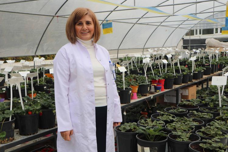 ‘LABORATUVAR VE İKLİM ODALARINDAN SONRA KAPIMIZ BU TÜNELE AÇILIYOR’