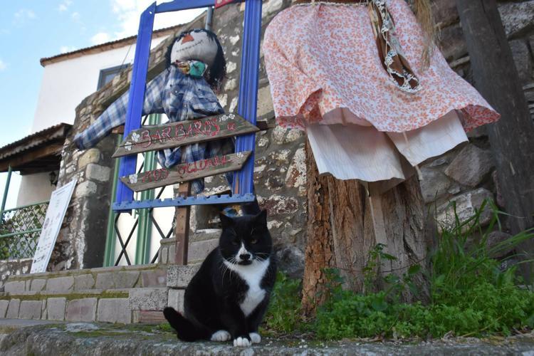 KÖY HALKI KADAR OYUK YAPTIK