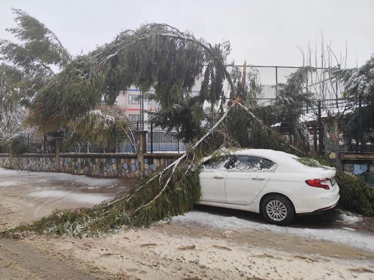 AĞACIN DALI, OTOMOBİLİN ÜZERİNE DÜŞTÜ