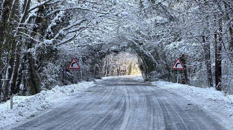 HERKESİ HAYRAN BIRAKIYOR
