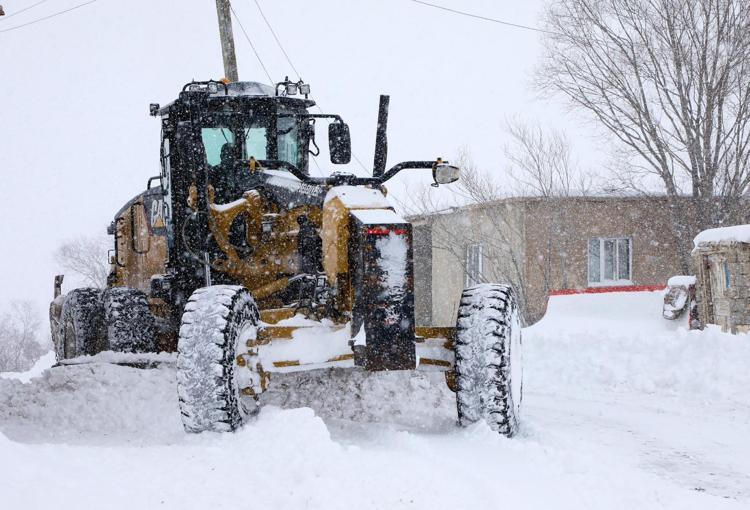 VANDA KARLA MÜCADALE