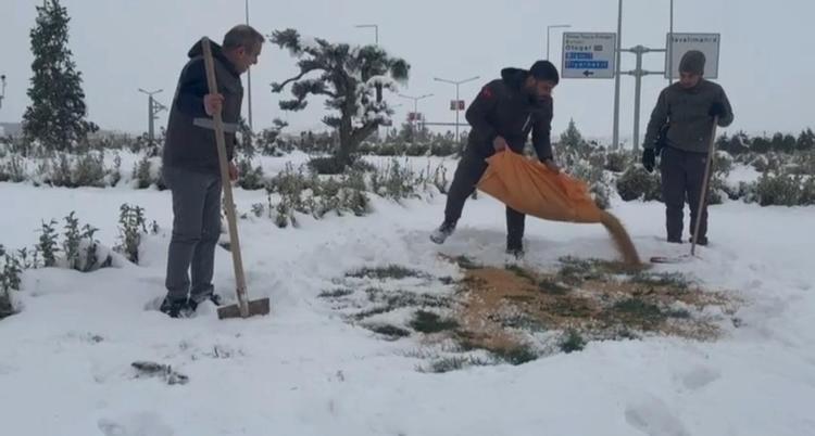 YABAN HAYVANLARI İÇİN DOĞAYA YEM BIRAKILDI