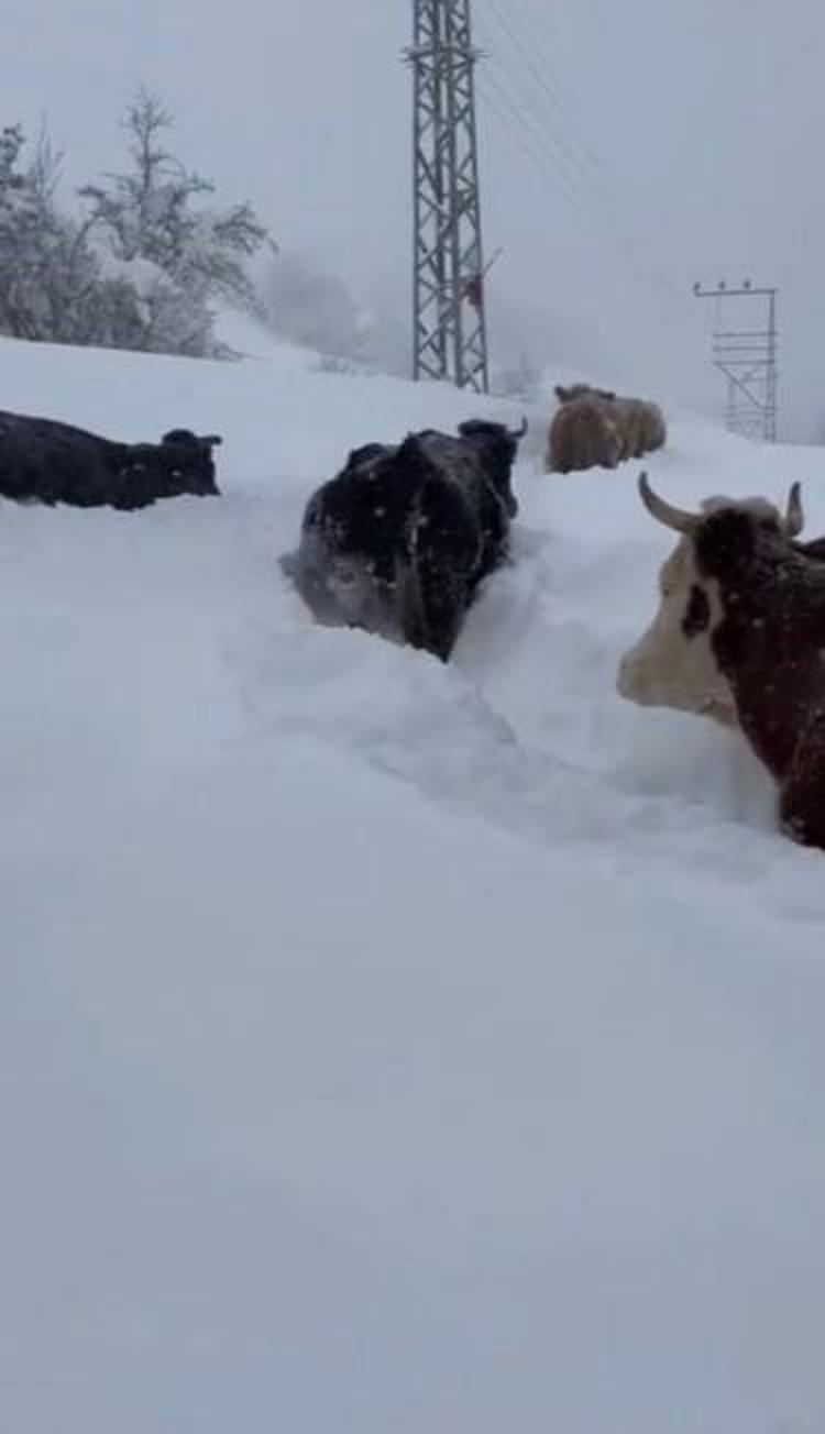 KENTTEN KAR MANZARALARI