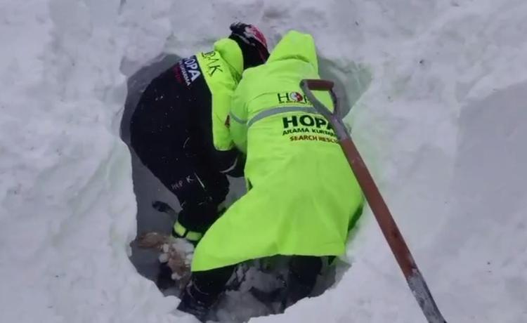 KAYIP ÇOBANLARIN KİMLİKLERİ BELLİ OLDU