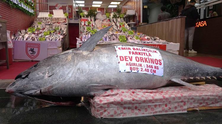 ‘MAKET OLUP OLMADIĞINI SORUYORLAR’