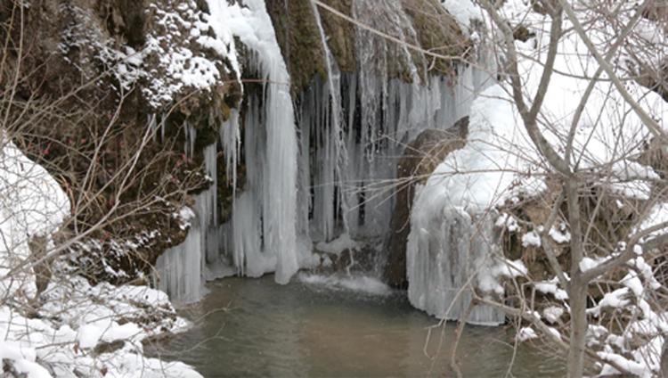 HERKESİ BEKLİYORUZ