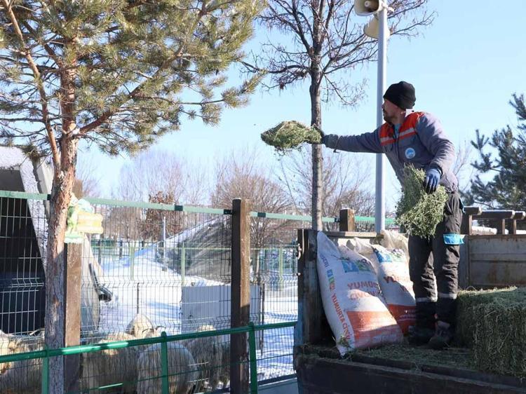 ‘2025 YILINDA 426 BİN 200 VATANDAŞIMIZ ZİYARET ETTİ’