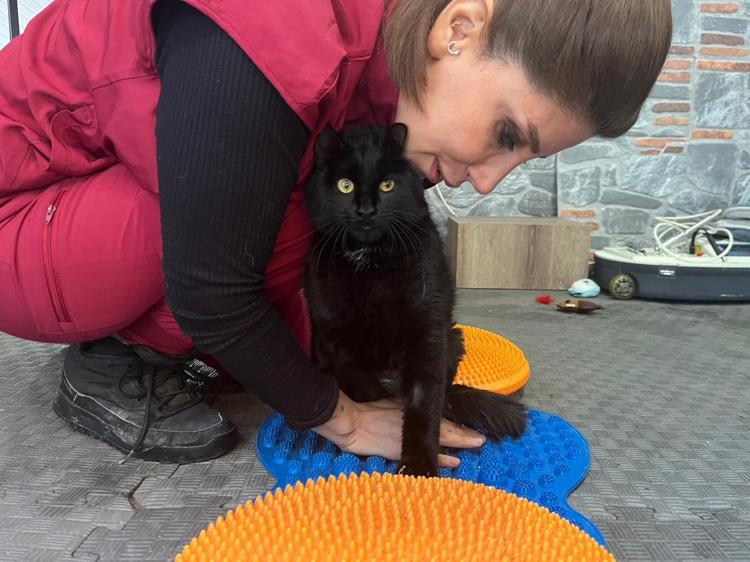 FİZİK TEDAVİ SÜRECİNE BAŞLADIK