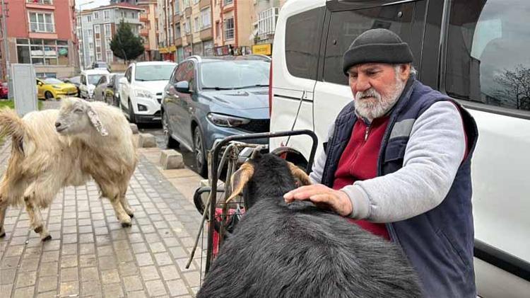 ‘ÇOCUKLAR ÇOK SEVİYORLAR’