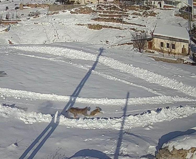 KÖYÜMÜZDE DOLAŞMALARINDAN MEMNUNUZ