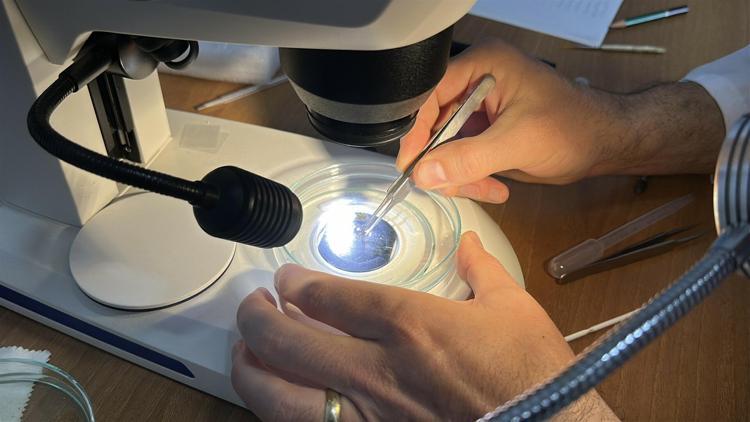 GENELDE GÖREMEDİĞİMİZ YERLERDE YAŞARLAR