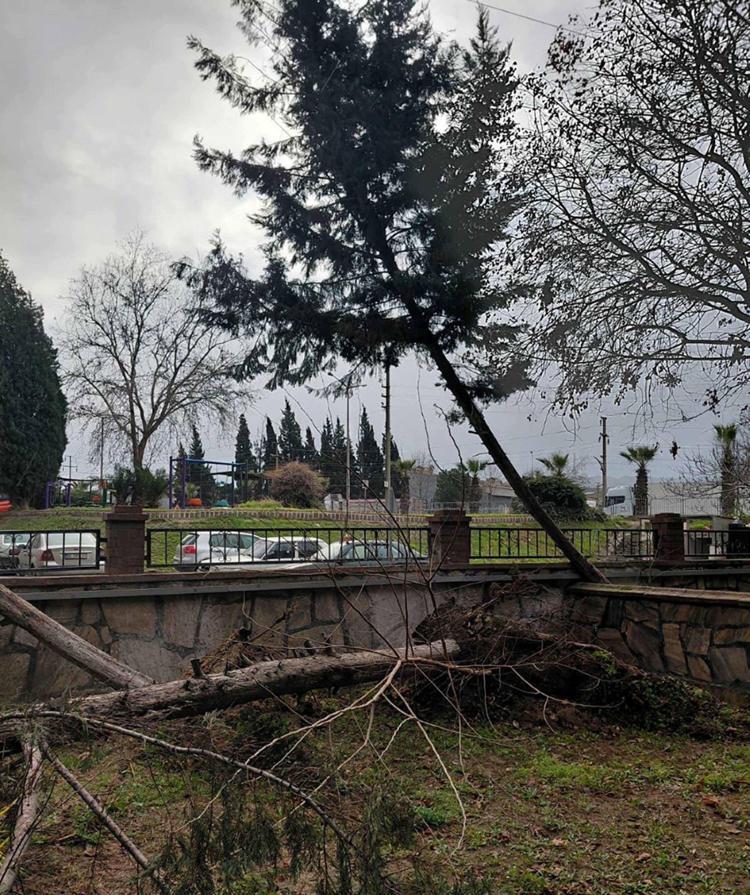 TEL ÖRGÜLER YIKILDI