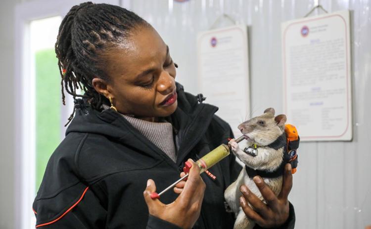 BİNLERCE HAYAT KURTARDILAR