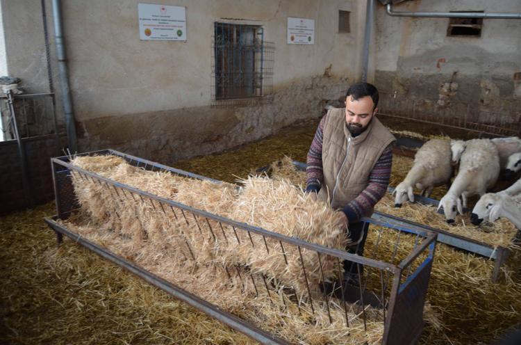DEVLET ÜRETİYİCE DESTEK VERİYOR