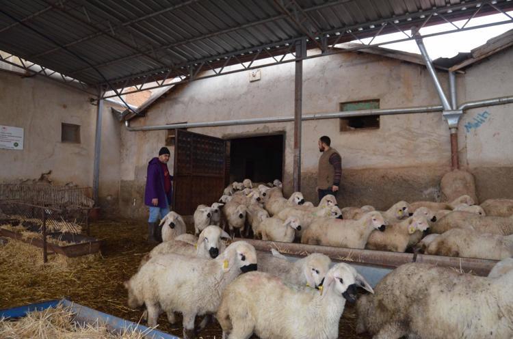 İNGİLTEREDEN DÖNÜP, AİLE MESLEĞİNE BAŞLADI