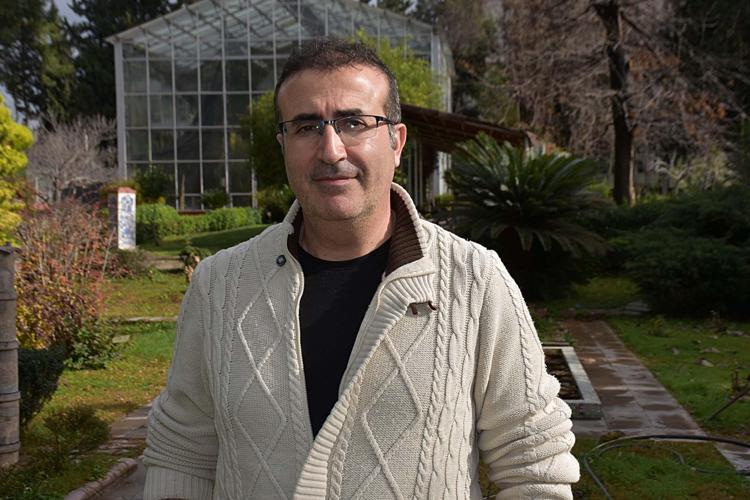 TAÇ YAPRAKLARININ EN DİBE KADAR AYRIK OLMASIYLA DİĞER TÜRLERDEN AYRILIYOR