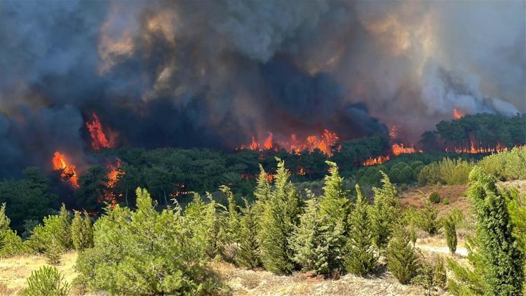 ÇIKARILACAK DERSLER İLE 2026 YAZINA GİRMEMİZ LAZIM