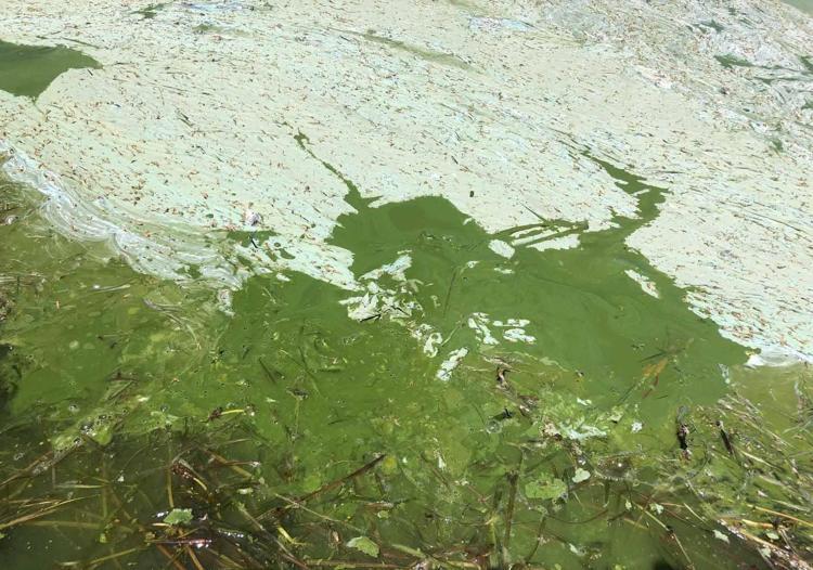 İÇME SUYU KAYNAĞI OLARAK SÜRDÜRELEBİLİRLİĞİ AÇISINDAN TEHDİT OLUŞTURMAKTA