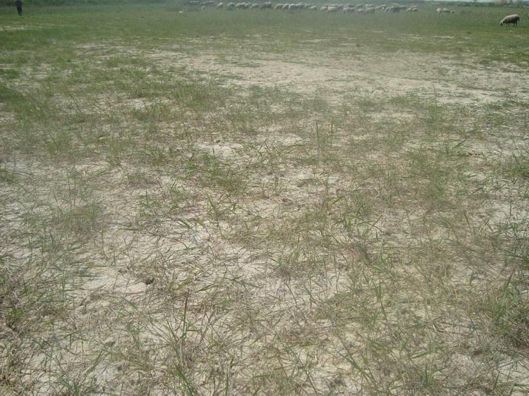 Prof. Dr. Kayıkçıoğlu, sözlerini şöyle sürdürdü: