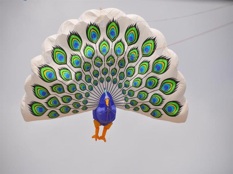 ‘UÇURTMANIN PEŞİNDE BİR HAYAT SÜRDÜRÜYORUM’