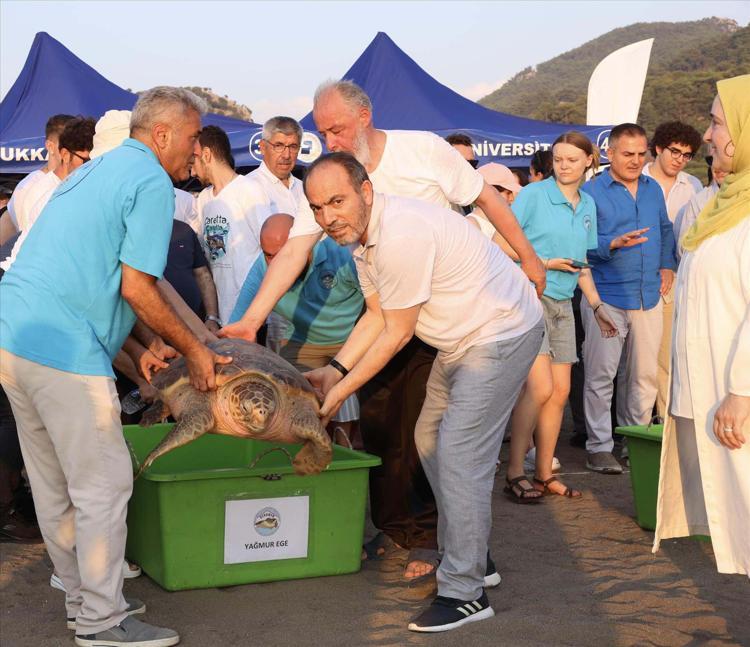 DEKAMERDEN AÇIKLAMA