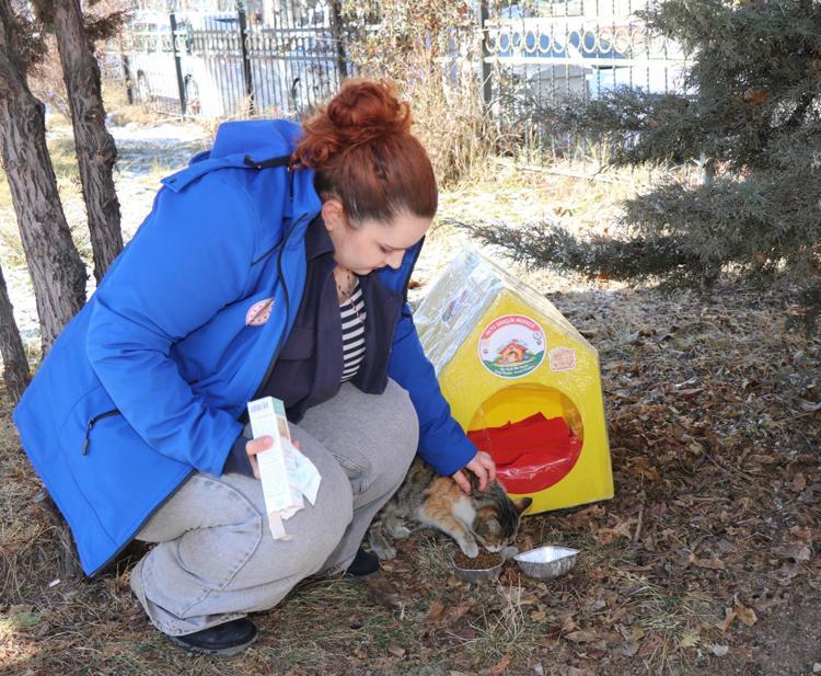 KEDİLER İÇİN KIŞ HAZIRLIĞI