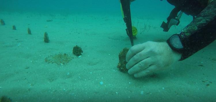 7 FARKLI İSTASYONDA ÇALIŞMA YAPTIK