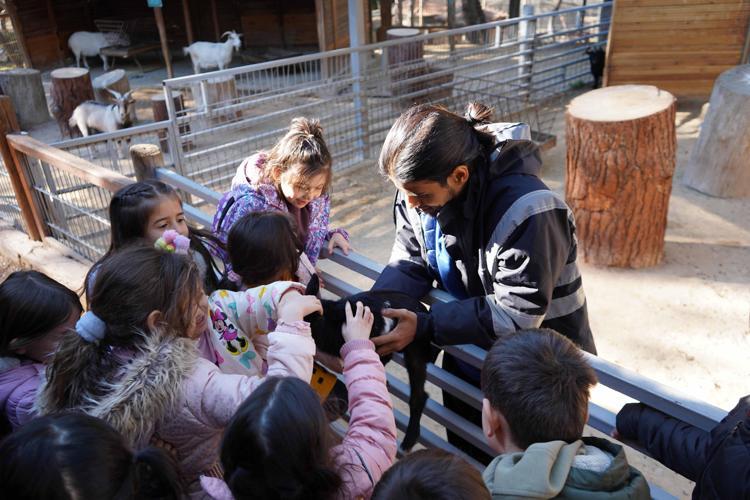 ANAOKULUNDAN LİSEYE EĞİTİM