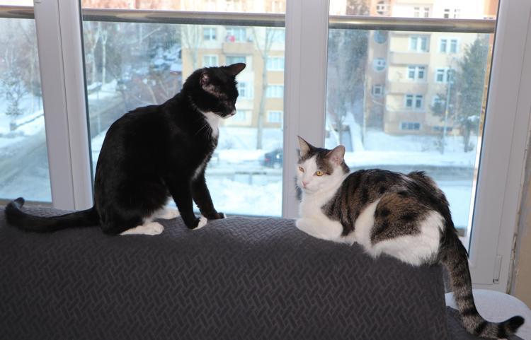 ‘DESTEKÇİLERE İHTİYACIM VAR’