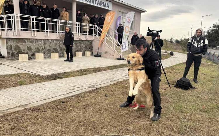 DOST ADINDA BİR KÖPEK DAHA YETİŞTİRDİK
