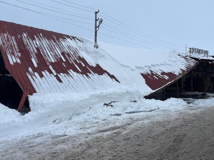 SEBZE HALİNDE 2 DÜKKANIN ÇATISI KARDAN ÇÖKTÜ