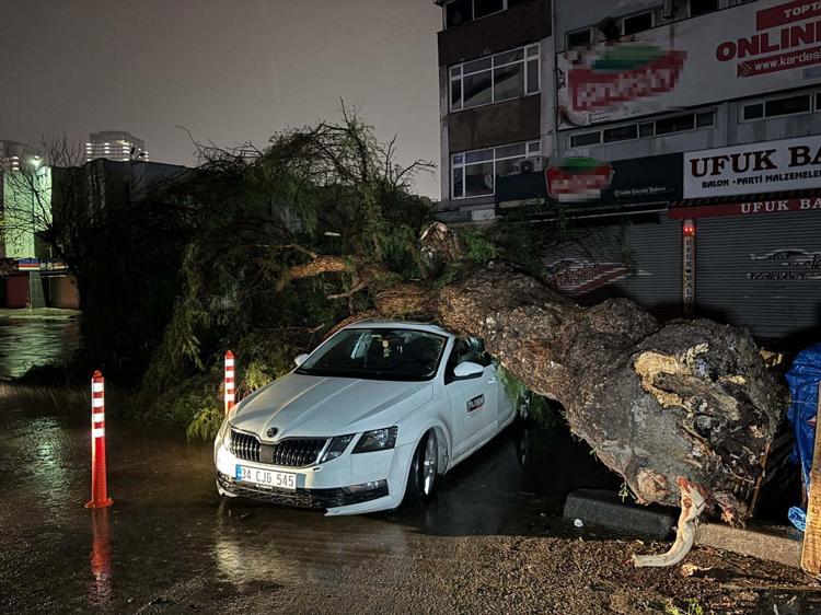 AĞAÇ OTOMOBİLİN ÜZERİNE DEVRİLDİ