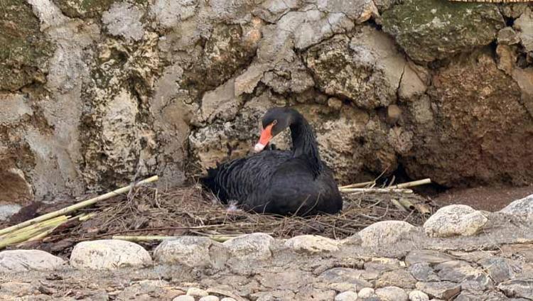 BİZİM İÇİN DE AYRI BİR HEYECAN