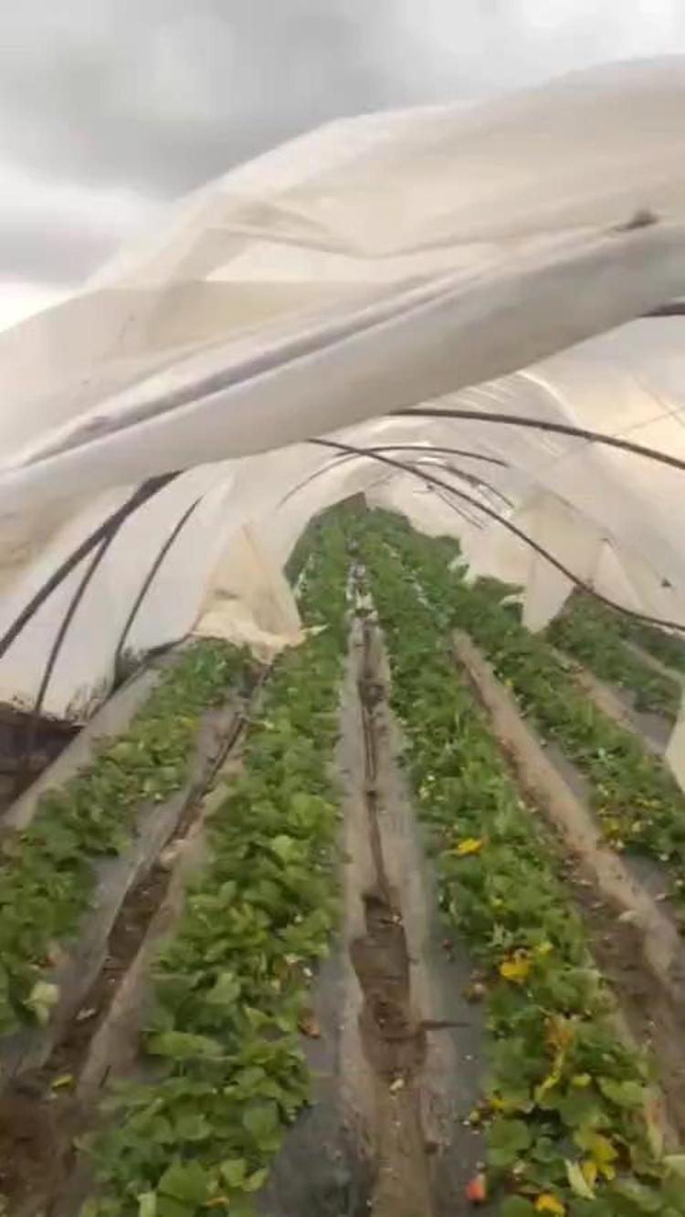 SERİKİ BU KEZ FIRTINA VURDU