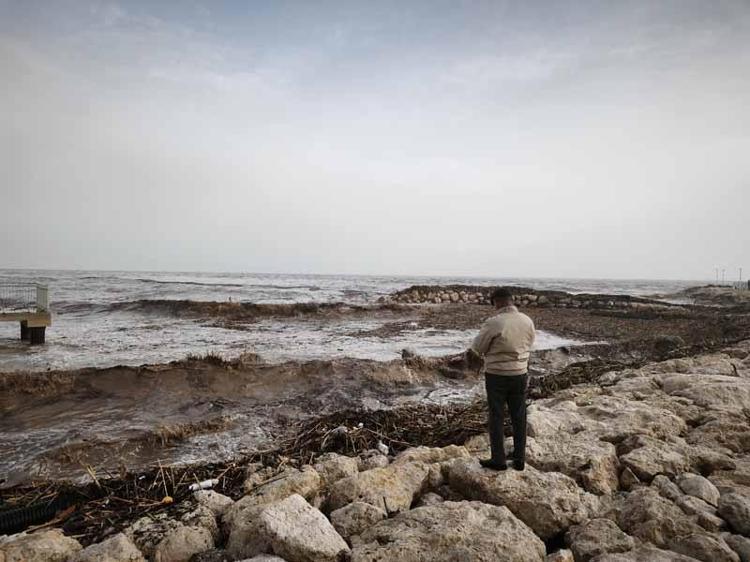 AĞAÇ PARÇALARI DENİZ YÜZEYİNDE BİRİKTİ