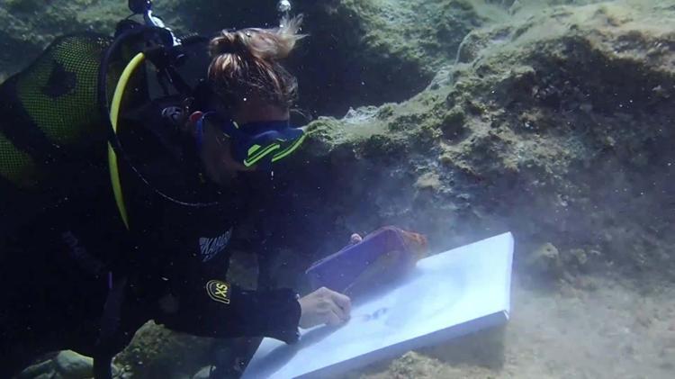 DALIŞ YAPMAK İÇİN ÇANTA HAZIRLAYIP SATIYOR