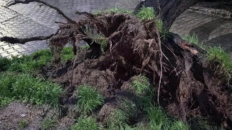 POLİS SÜRÜCÜLERİ ANONSLA UYARDI