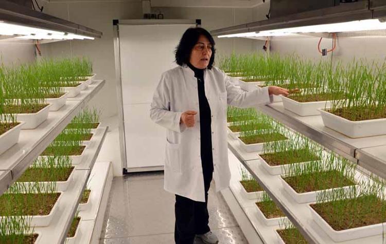 ‘6 YILLIK SÜRECİ 2-3 YILA İNDİRİYORUZ’