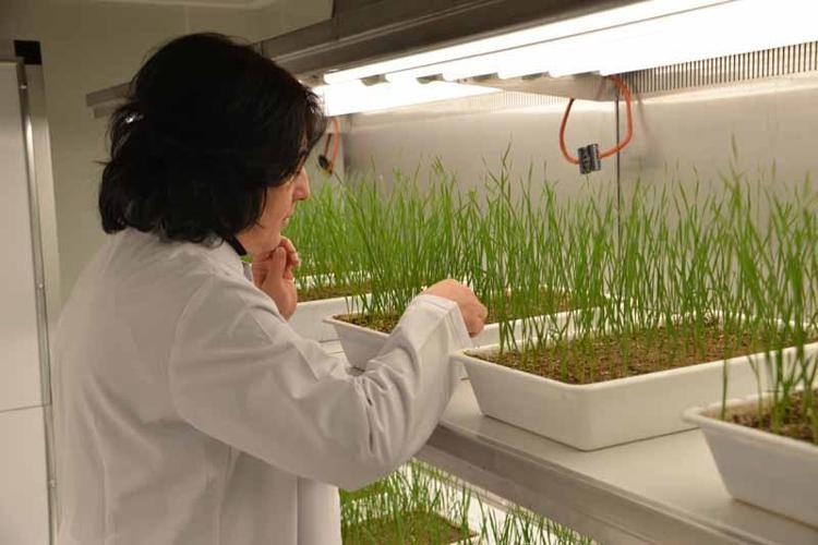 ‘EKSİ 15 DERECEDE ÖLÜMLER BAŞLAR’