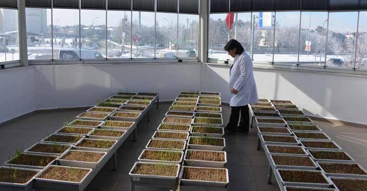 KAYISIDA DA TEST YAPILIYOR