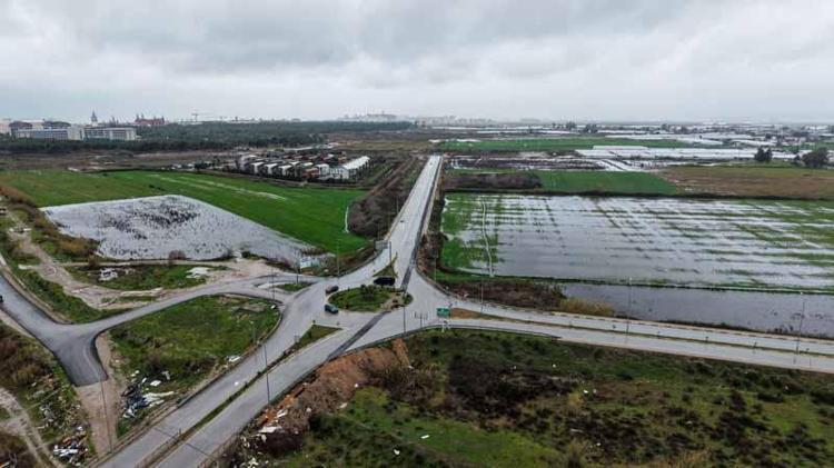 AĞAÇLAR DEVRİLDİ