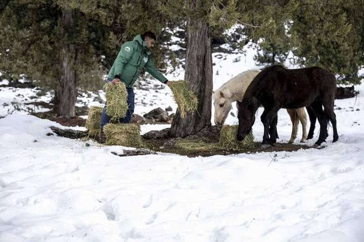 ‘HAYVANLARIN BU ZORLU DÖNEMİ ATLATMALARINI AMAÇLIYORUZ’