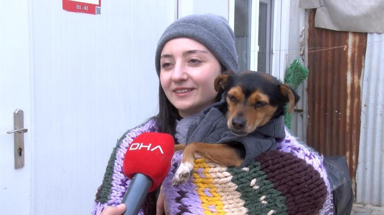 SOKAK HAYVANLARINA YARDIM İÇİN BAHÇELİ BİR EV İSTİYORUZ