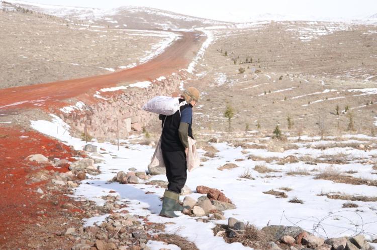 ‘KÖY ORMANLARI KURDUM’