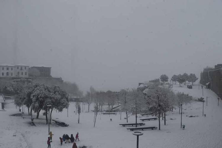 ‘HAYVANLAR İÇİN KORUMA ALANI SAĞLAYACAK’