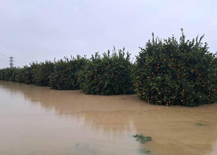 KALICI ÇÖZÜMLER ÖNERİSİ