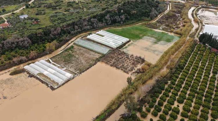 6 BİN DÖNÜM ZARAR GÖRDÜ