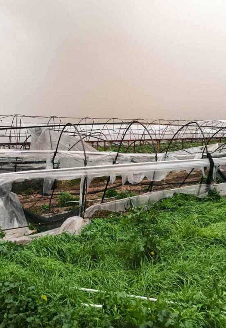 FELAKETLERE KARŞI FON OLUŞTURULMALI