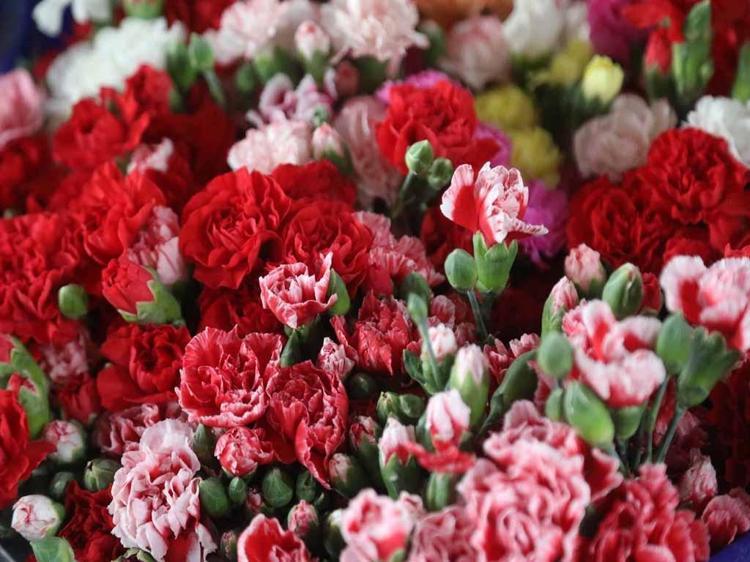 KESME ÇİÇEKLERE İLGİ ARTTI